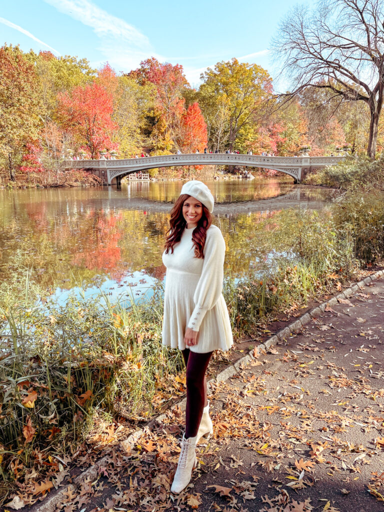 Central Park in Fall