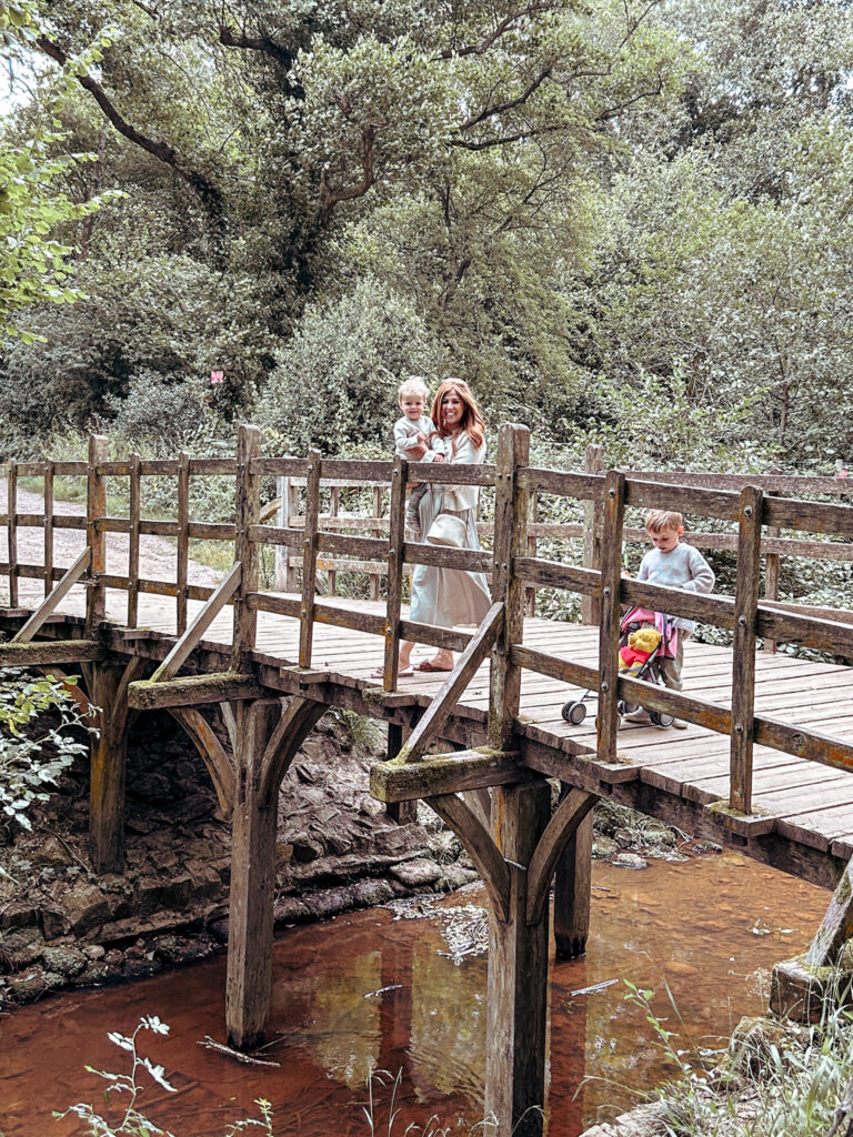 Pooh Sticks Bridge