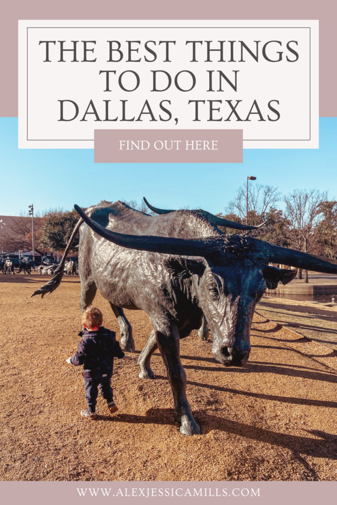 Things to do in Dallas Texas with kids