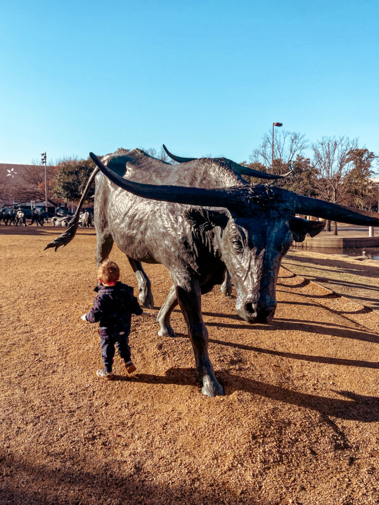 Pioneer Plaza Dallas