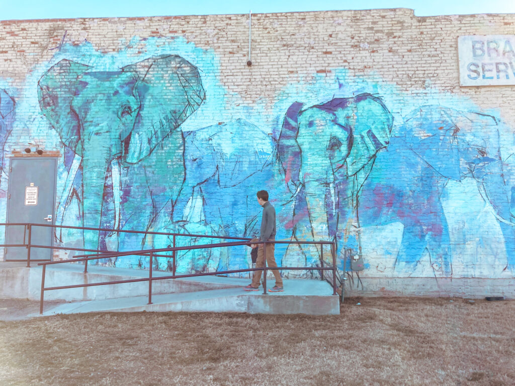 Elephant Mural at Deep Ellum