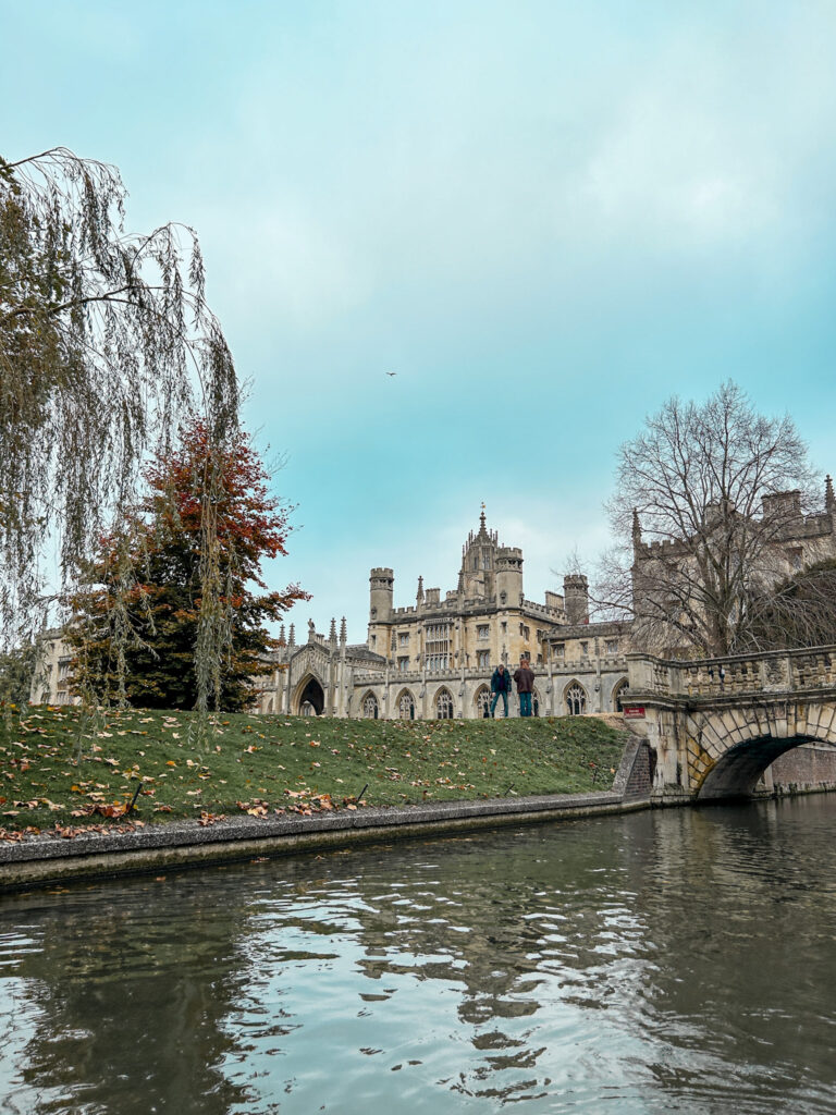 Views from punting in Cambridge