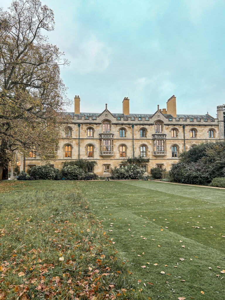 Exploring the Grounds of Trinity College