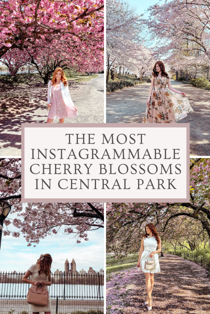 the best palces to see cherry blossoms in Central Park