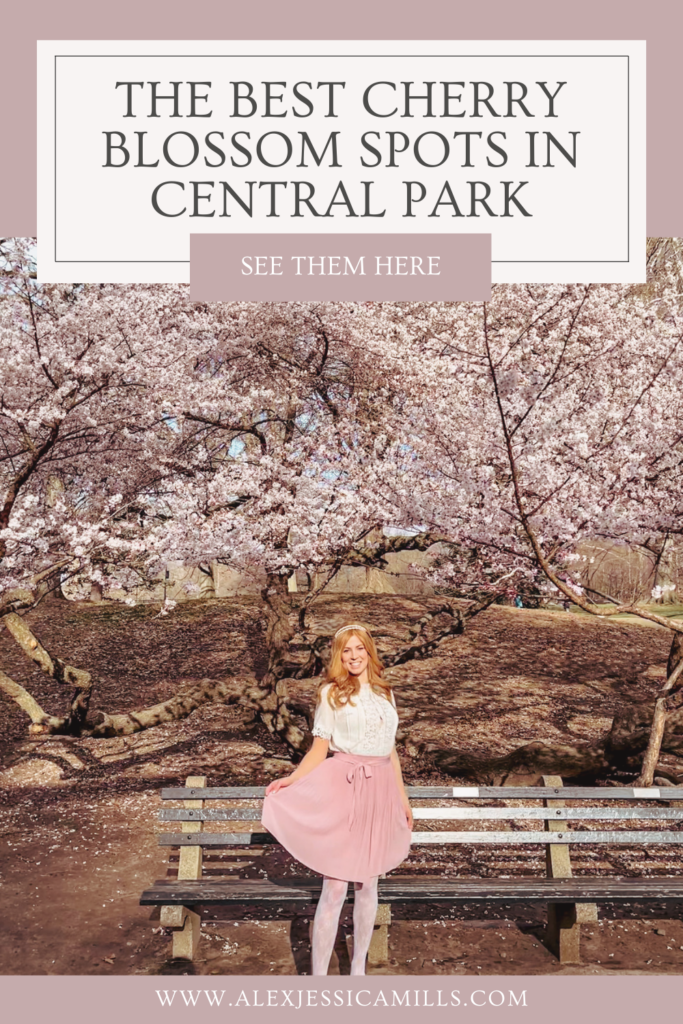 where to find cherry blossoms in Central Park