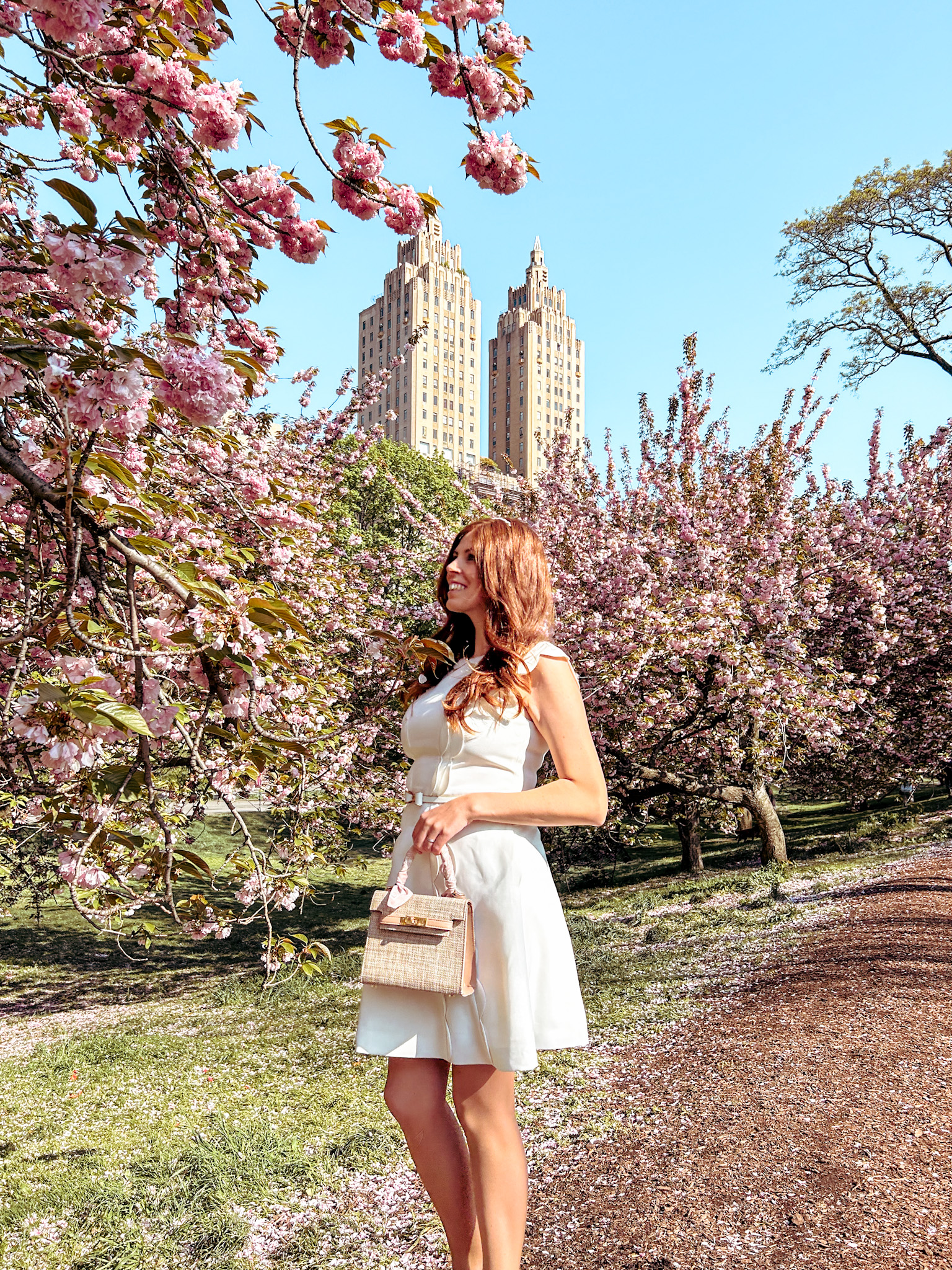 Cherry Blossoms West Side of Central Park