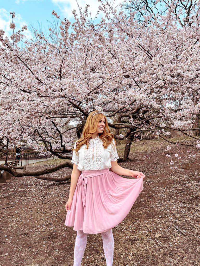 Cherry Blossoms in Central Park