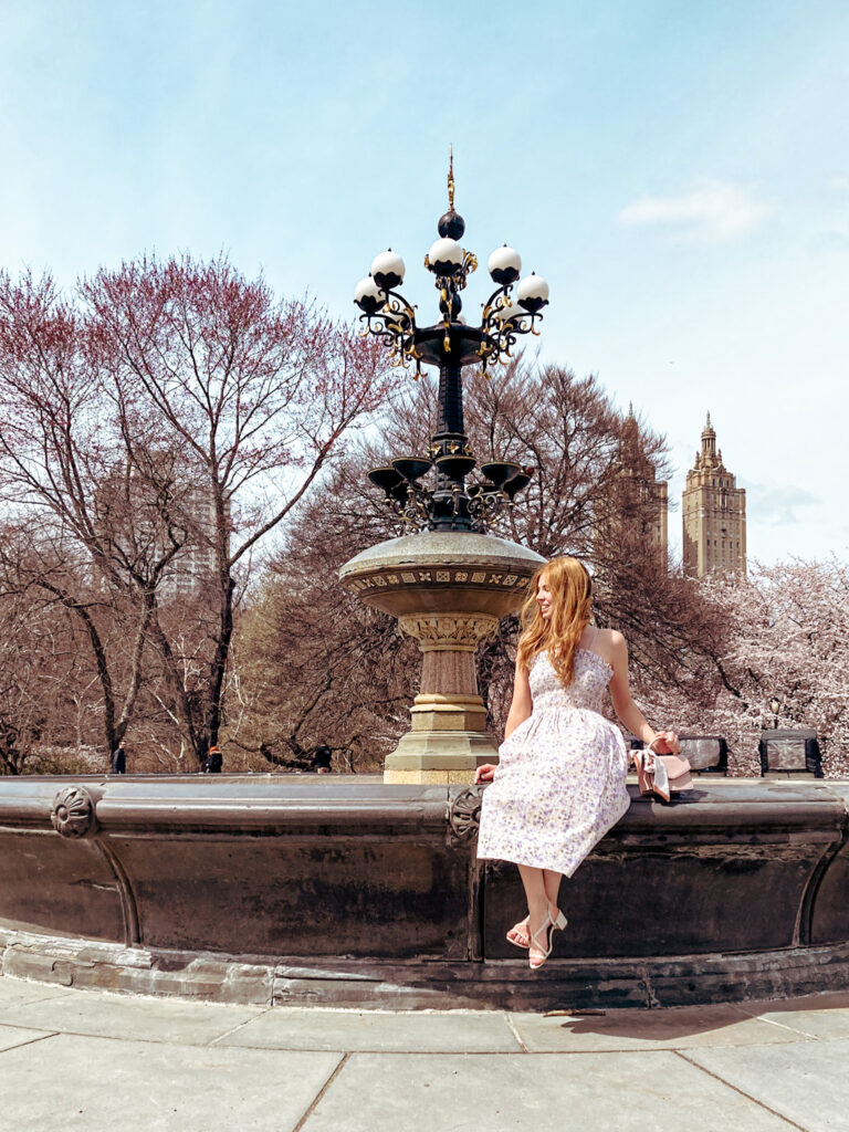 Cherry Blossom on Cherry Hill