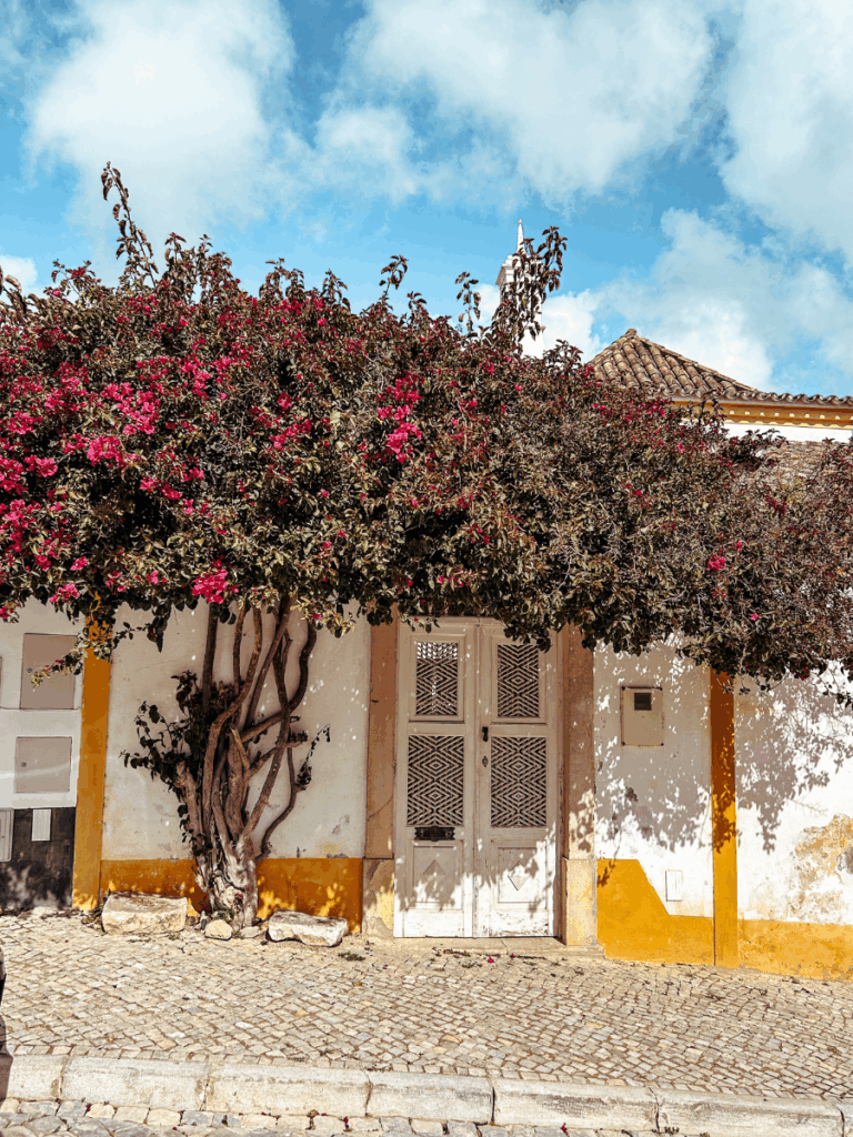 Charming house with vibrant flowering tree in bloom
