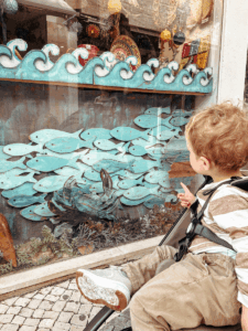 Searching for Fish in Faro's new town