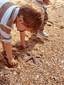 Searching for Starfish on Faro Beach