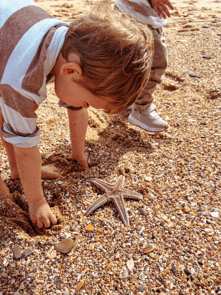 Searching for Starfish on Faro Beach