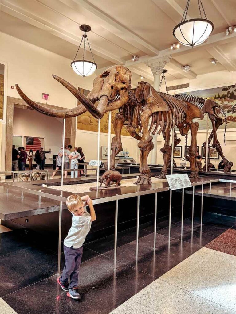 Child posing with a dinosaur skeleton at the American Museum of Natural History, a must-see on a 4-day NYC family itinerary