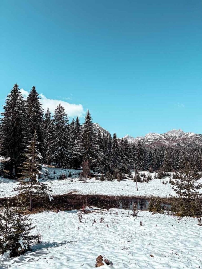 The entrance to Durmitor National Park, gateway to Black Lake in Montenegro