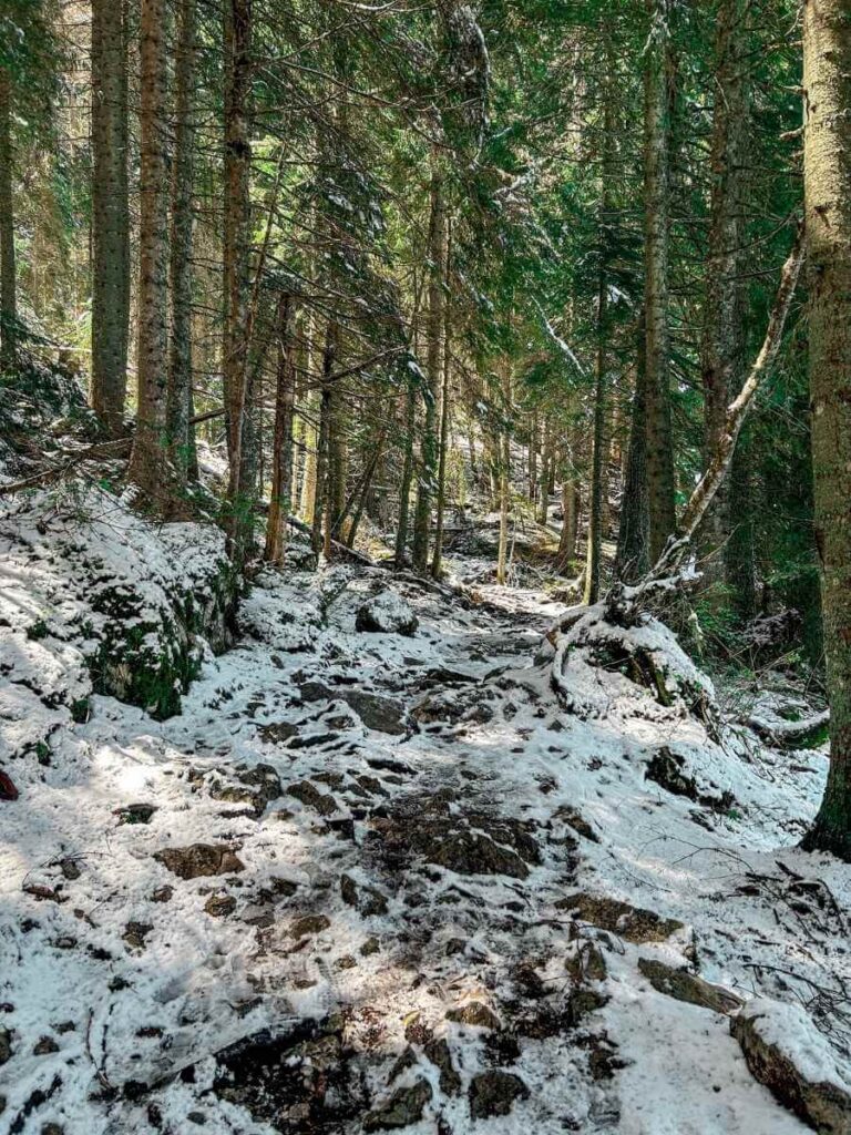 Rocky hiking path circling Black Lake (Crno Jezero) in Durmitor National Park, Montenegro