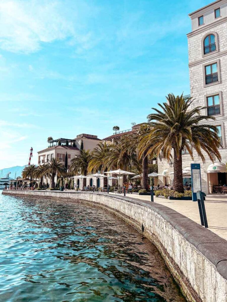 View of Tivat waterfront with palm trees and the Adriatic Sea