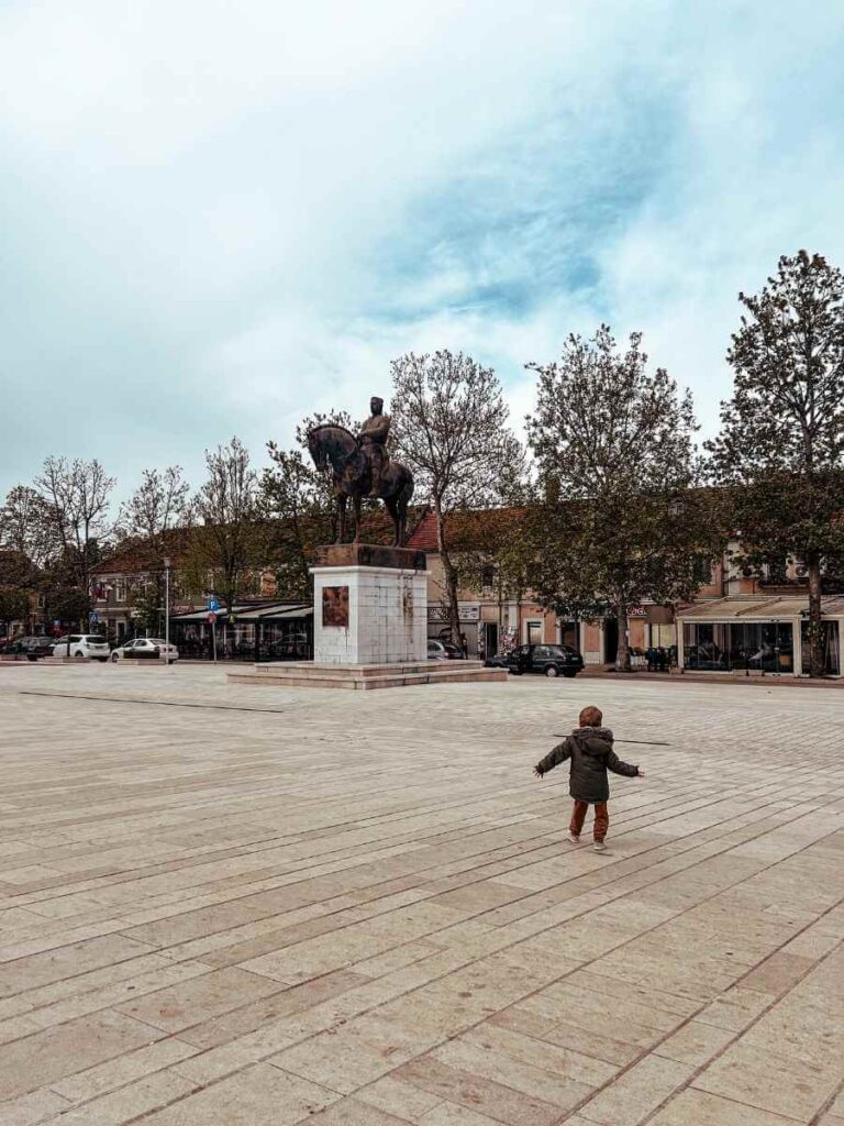 Wide view of Trg Slobode, the main square in Niksic, with cafes and local architecture