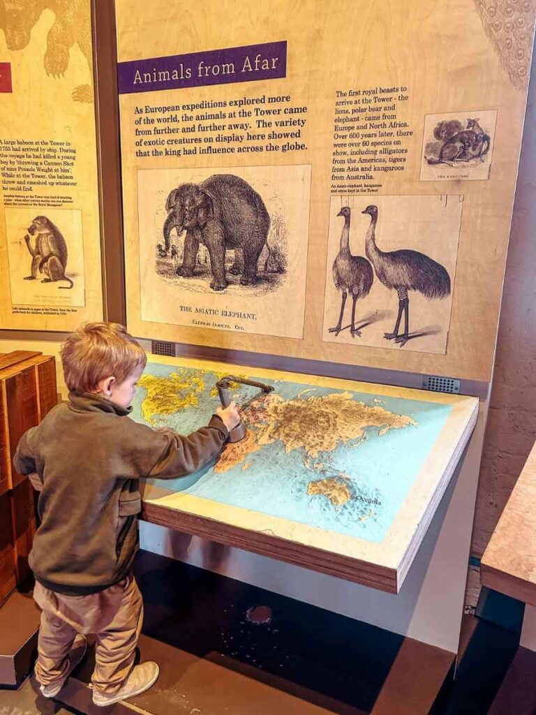 Young boy exploring the Royal Beasts exhibit at the Tower of London