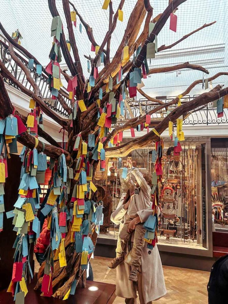 The make a wish tree cultural displays in the Horniman’s World Gallery