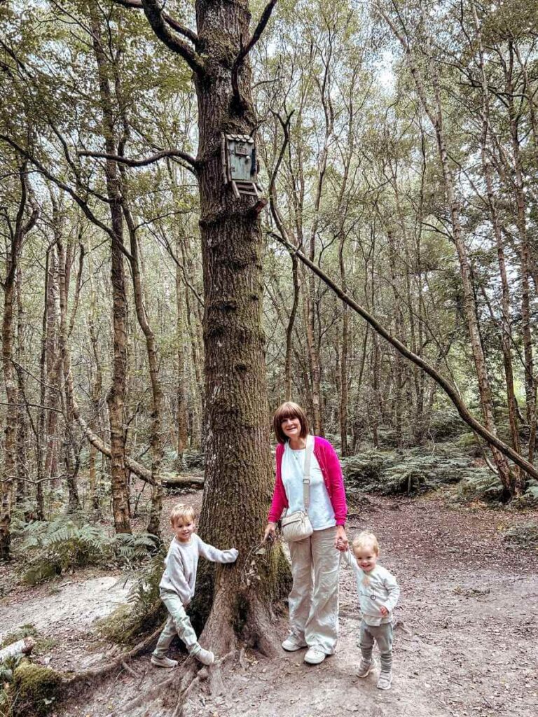 Children and Nana next to Owl’s House on the Winnie the Pooh trail in Ashdown Forest