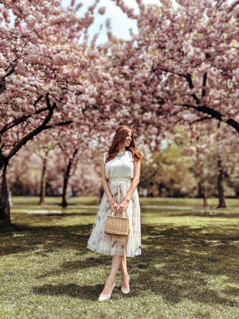 Walking beneath blooming cherry blossoms at Brooklyn Botanic Garden, a top NYC photo location.

