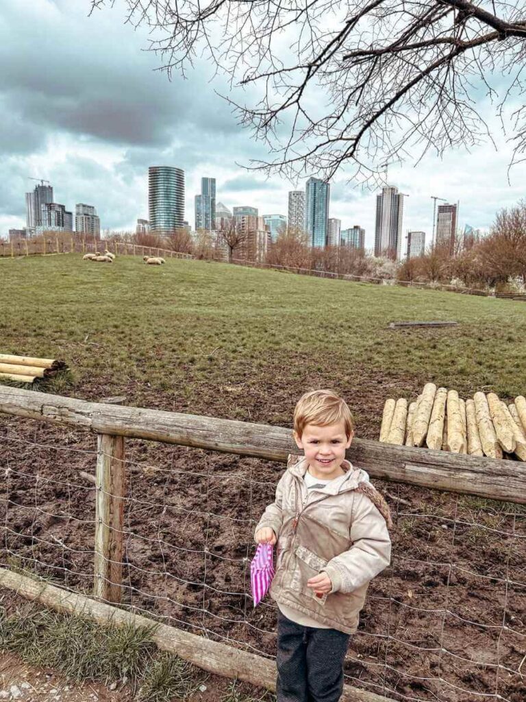 A child at Mudchute Farm, one of the top urban farms in London, with Canary Wharf’s skyline behind him.
