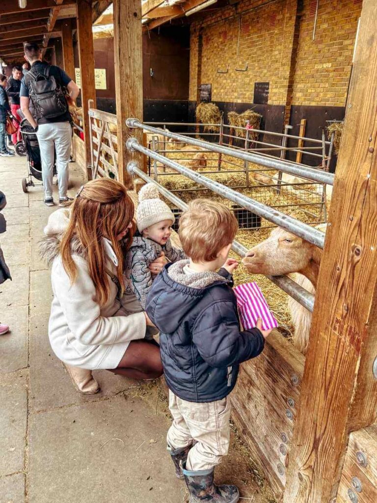 Mum in the City and her children feeding goats at Mudchute Park and Farm, a popular petting farm in London.