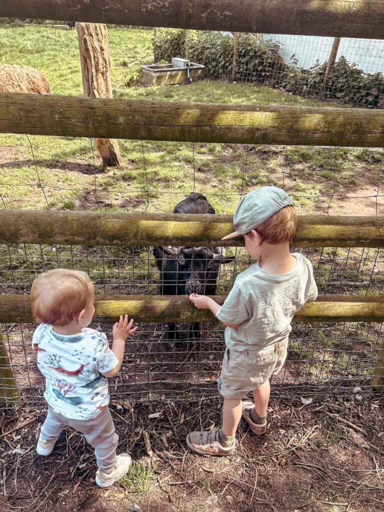 Children at Mudchute Park and Farm in East London, petting a sheep at one of the city's best animal farms for kids.