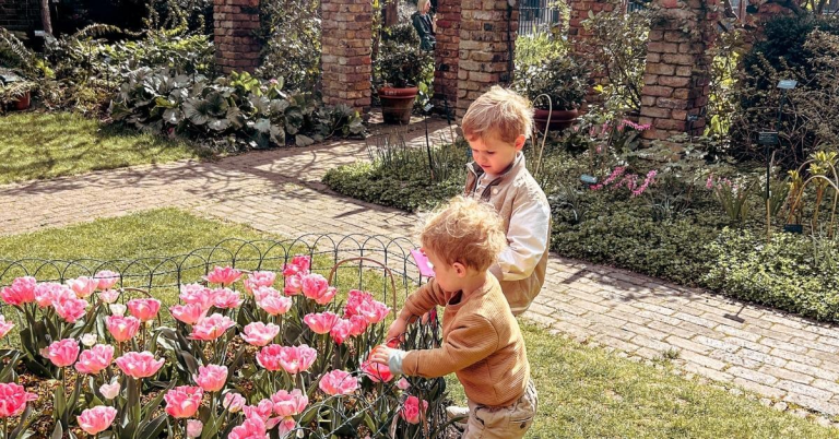 Museum of The Home Review