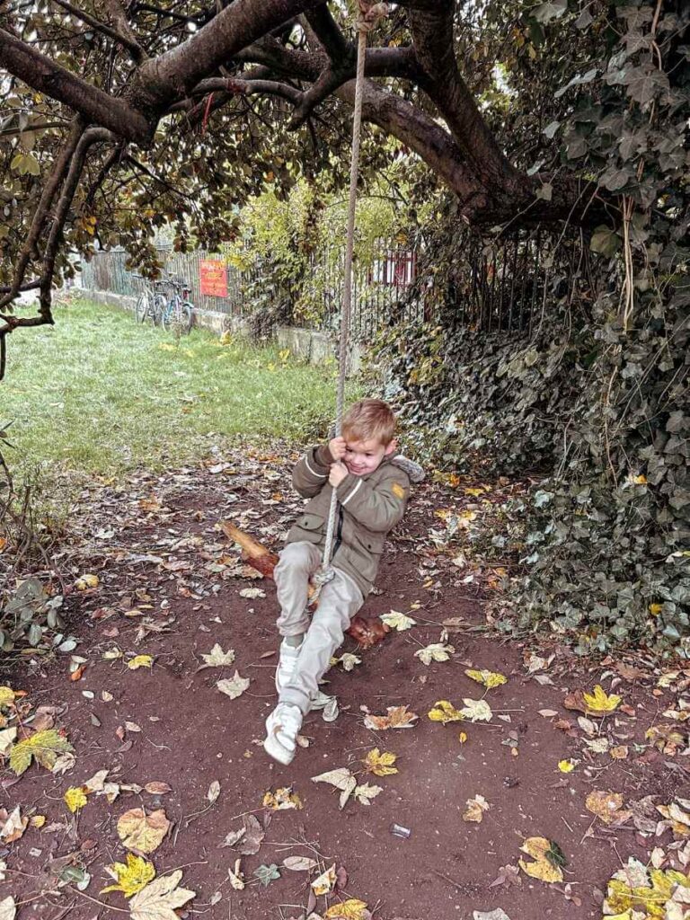 Rope swing hanging by the riverbank near The Traditional Punting Companies punt hire location.