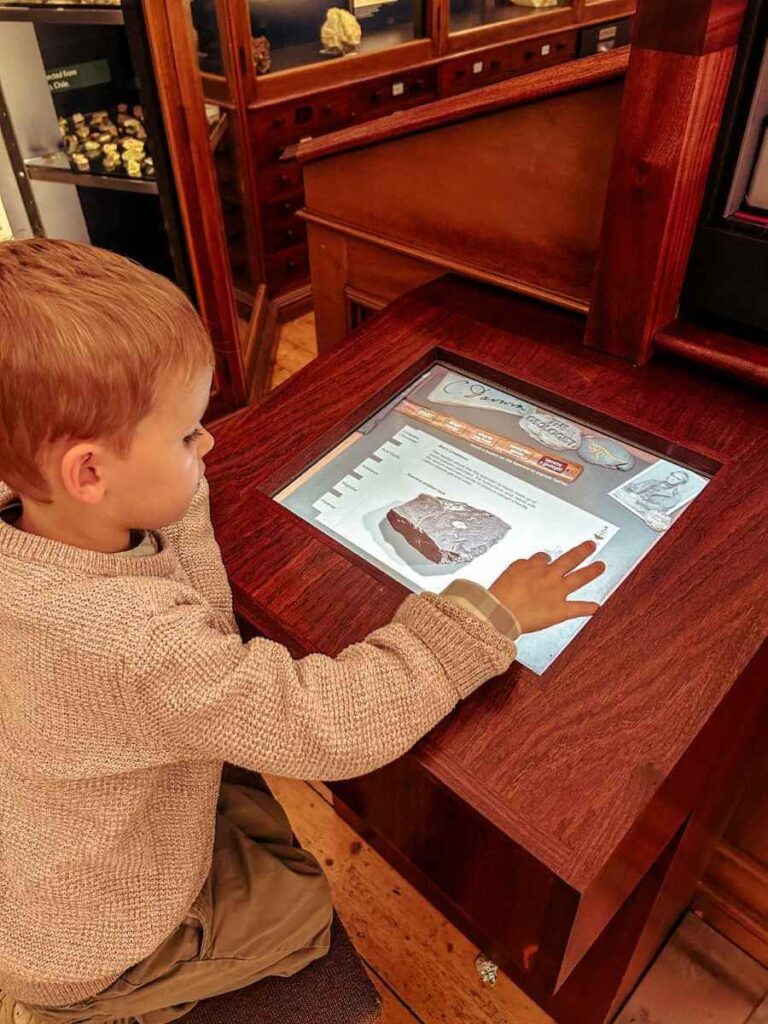 Interactive learning display at the Sedgwick Museum – a hands-on experience for children in Cambridge.