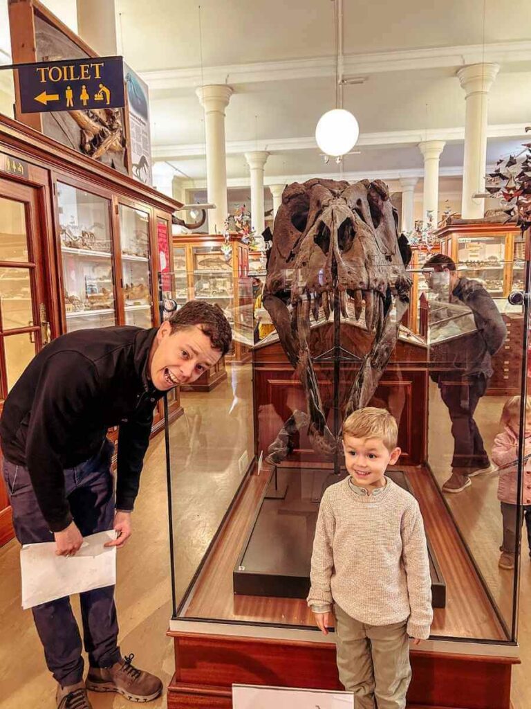 Child standing beside a dinosaur exhibit at the Sedgwick Museum of Earth Sciences – fun and educational for kids in Cambridge.