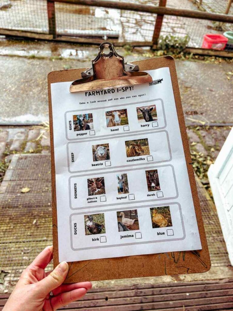 Close-up of a fun educational activity sheet from Spitalfields Farm, a family-friendly urban farm in East London.