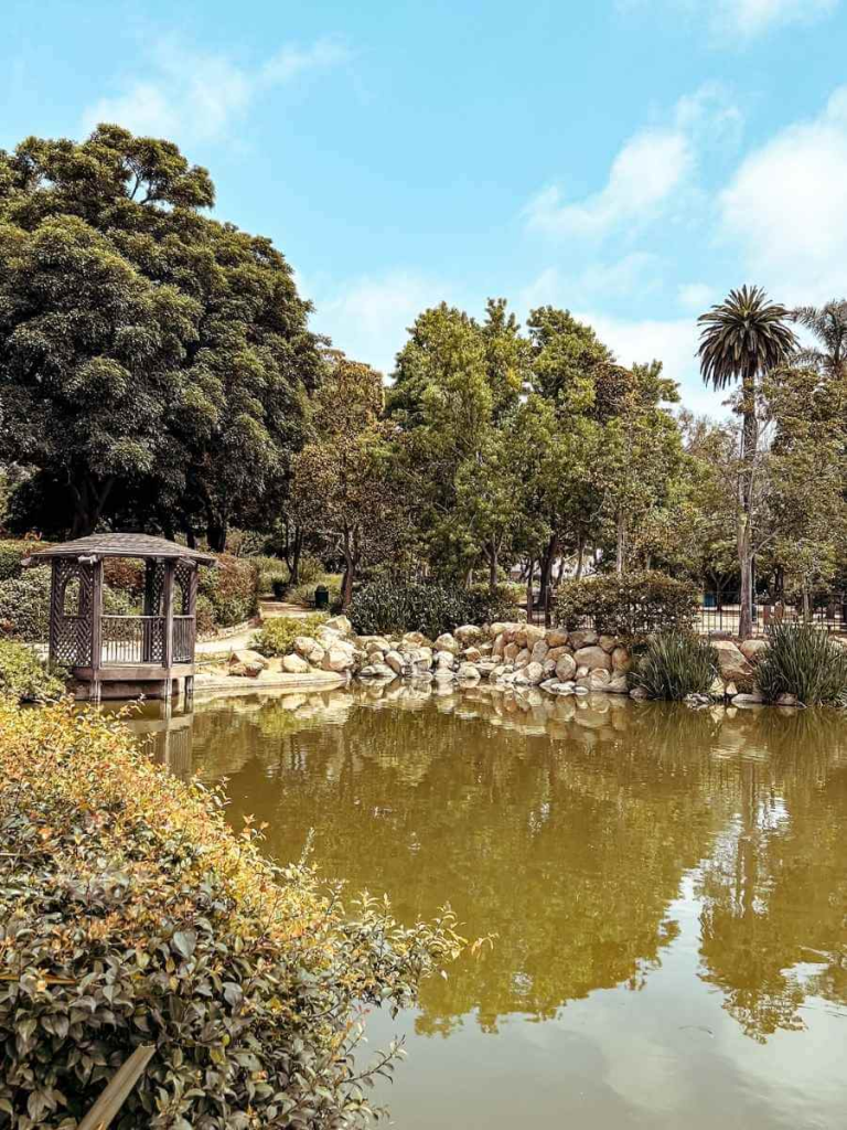 Peaceful scene at Alice Keck Park Memorial Garden, with a pond, ducks, and lush green landscaping perfect for toddlers to explore.