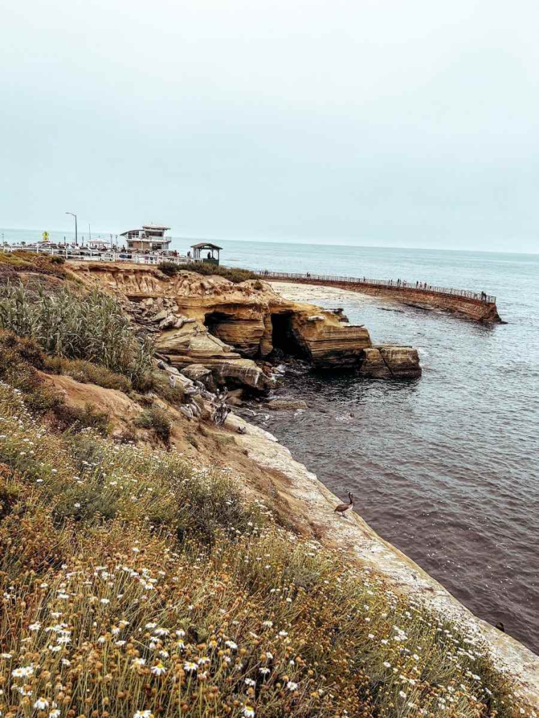 View of The Children’s Cove in La Jolla, a safe and scenic spot for families in San Diego