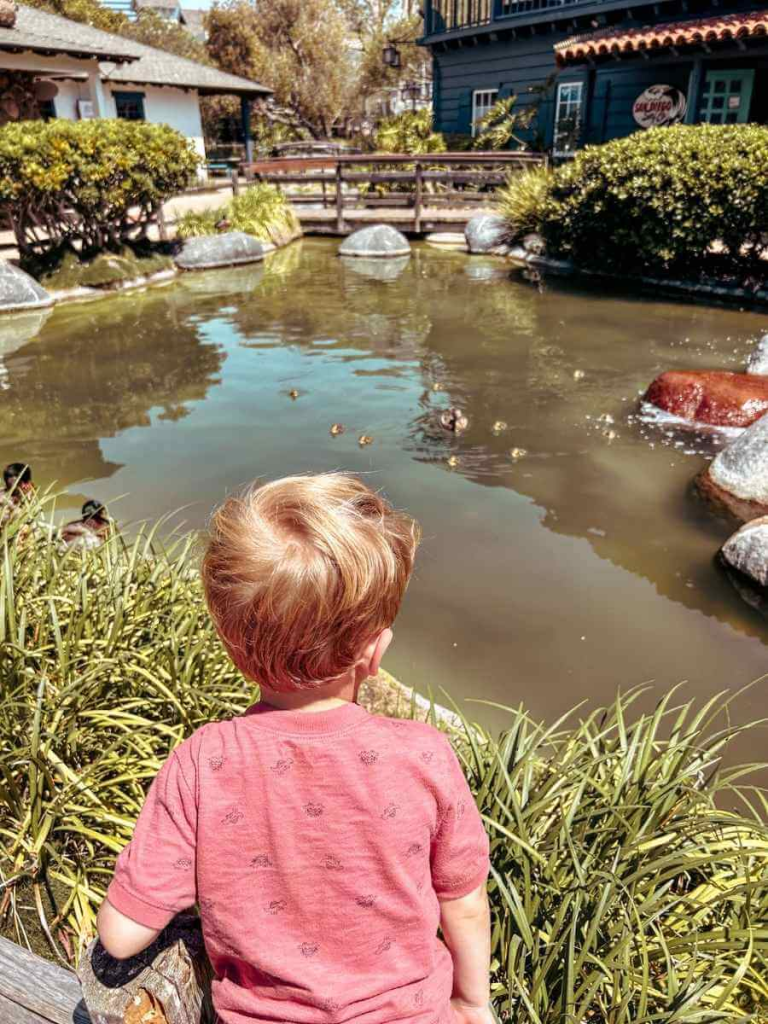 Toddler watching ducks at Seaport Village, a peaceful waterfront stop in San Diego for families