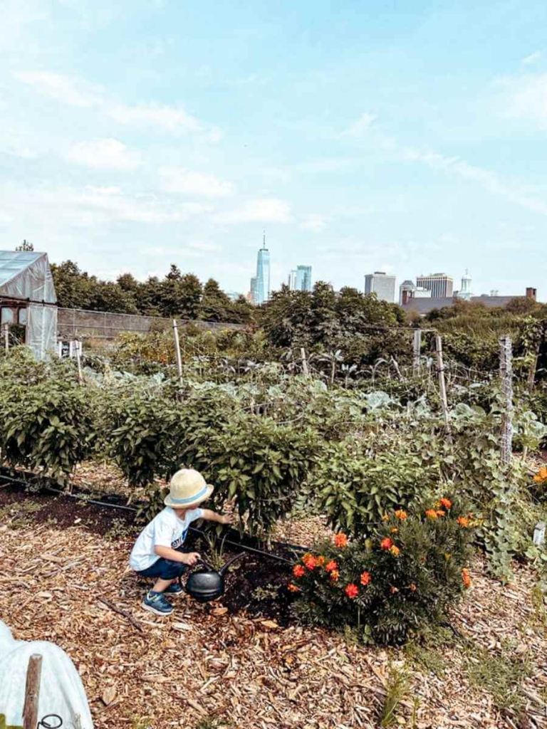 A child helping in the Governors Island Urban Farm – a hidden gem in NYC perfect for unique family experiences.
