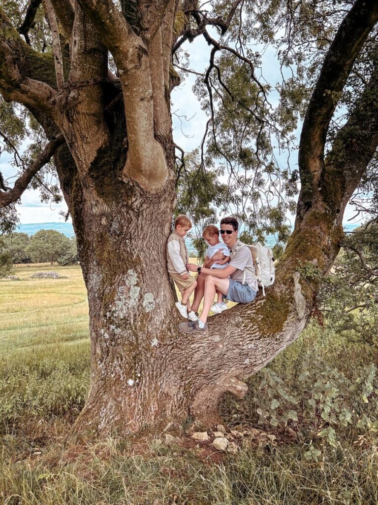 Children climbing a tree during the Tower’s Circular Walk, a popular family-friendly activity in the Cotswolds