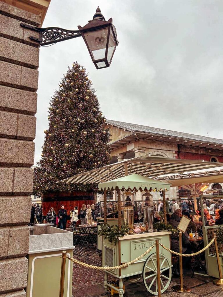 A giant Christmas tree in Covent Garden.