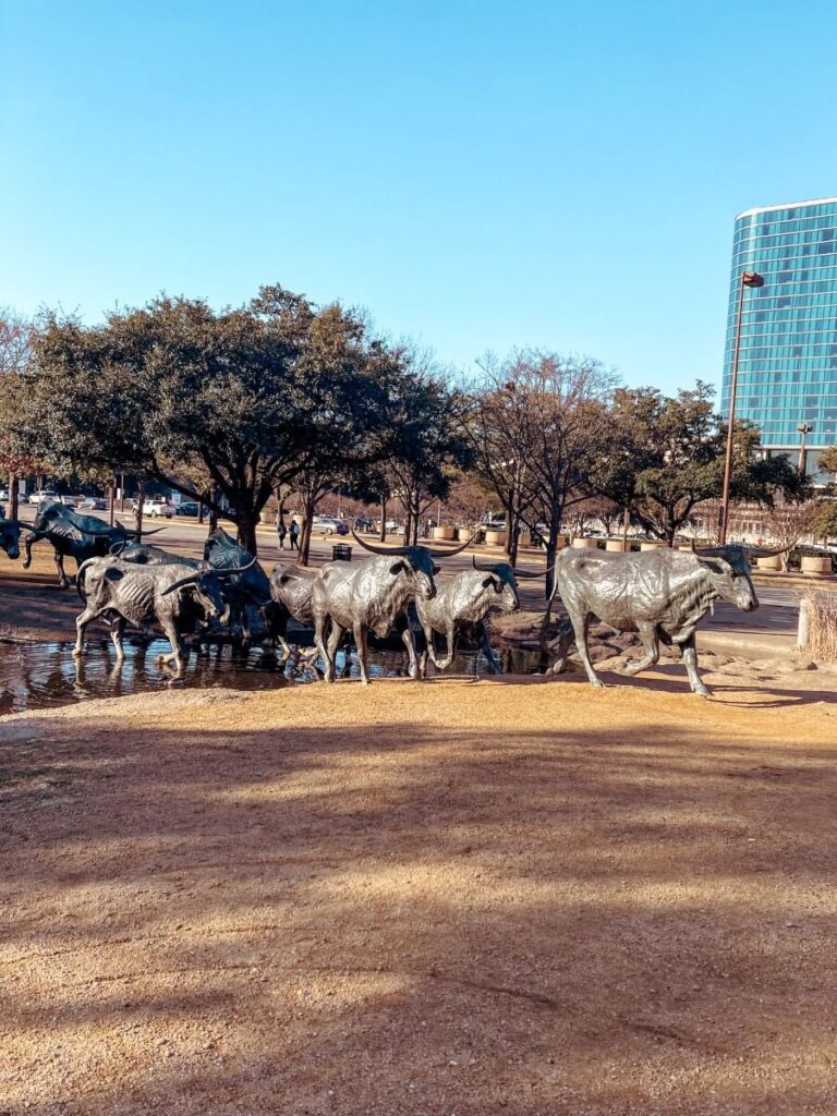 The life size longhorn sculptures in Pioneer Plaza, a must visit on your family vacation in Dallas