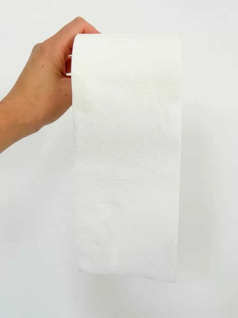 Who Gives a Crap Review - Quality of the eco-friendly Bamboo toilet paper