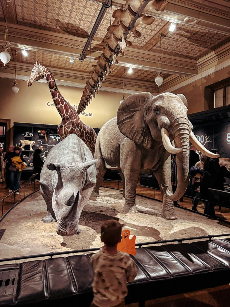 The Miracles of Evolution exhibition at the National Museum, a spot you must add to your Prague itinerary. 