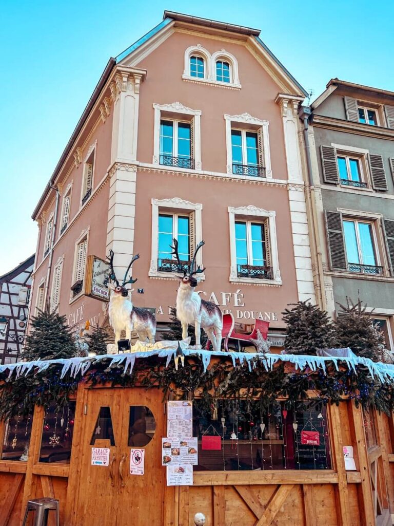 Colmar, France decorated for Chiristmas, a must see on your 1 day in Colmar.