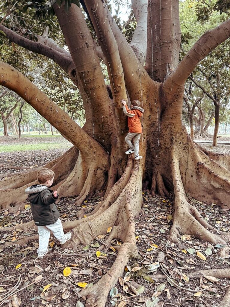 children exploring Príncipes Park, located in Triana Seville
