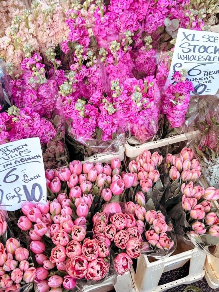 Columbia Road Flower Market is a beautiful place for a wander and a unique place to visit in London. 