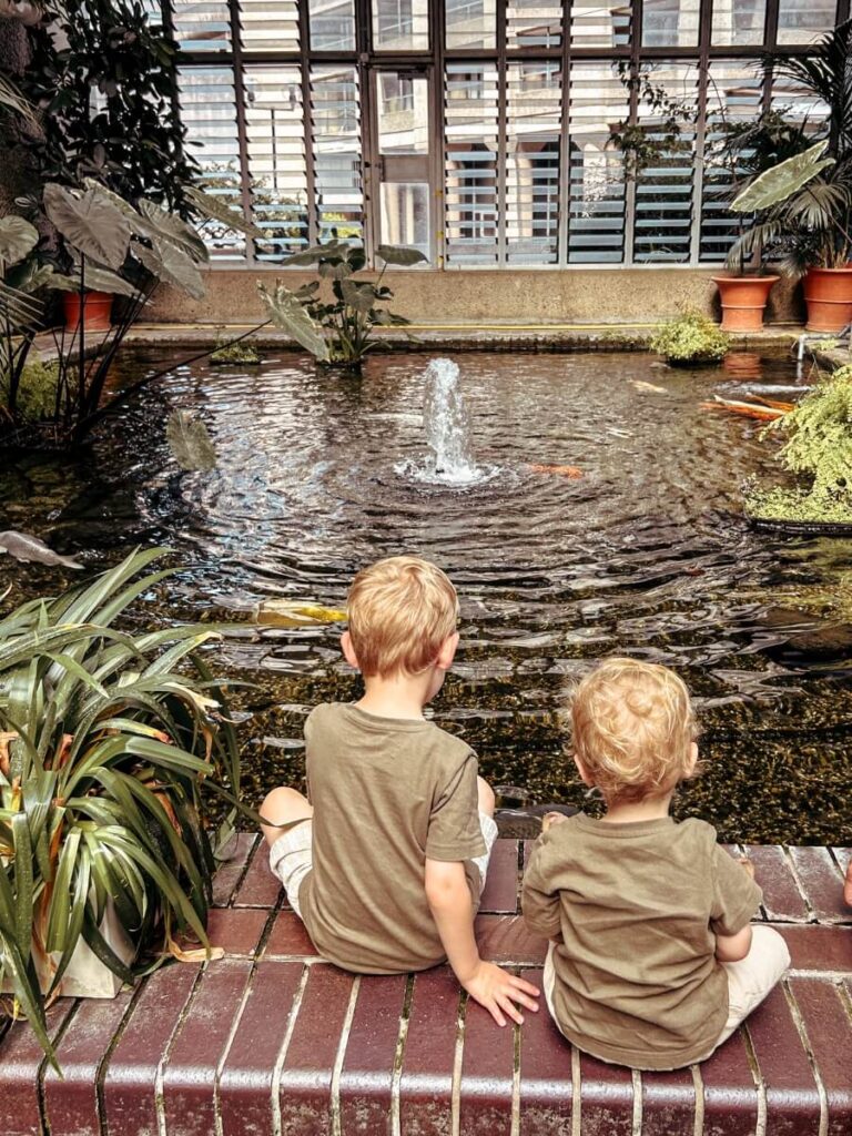 The Barbican Conservatory is a free hidden gem to visit in London.